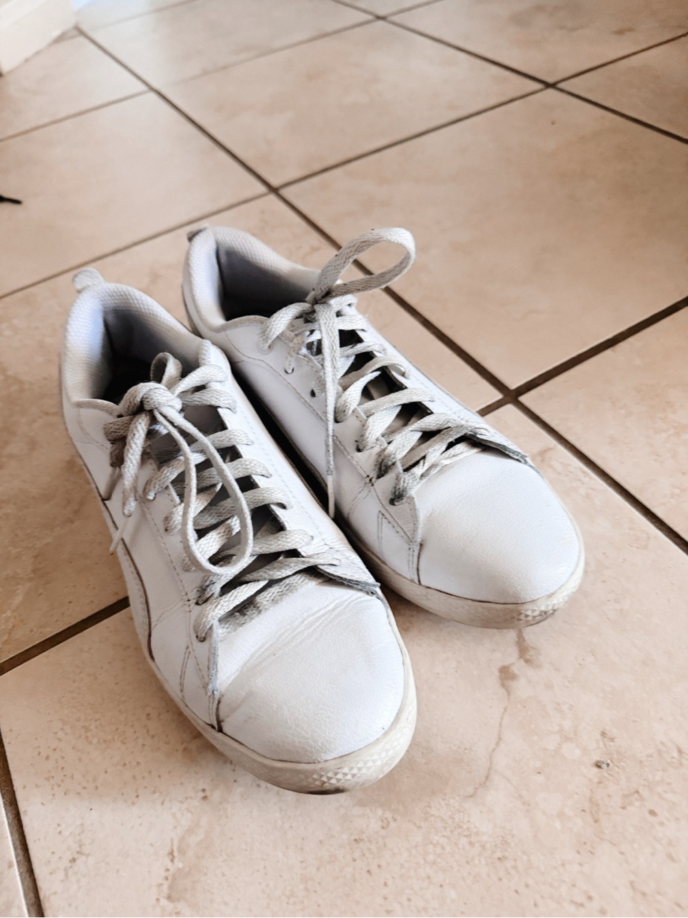 Puma Low-Top Lace-Up Sneakers